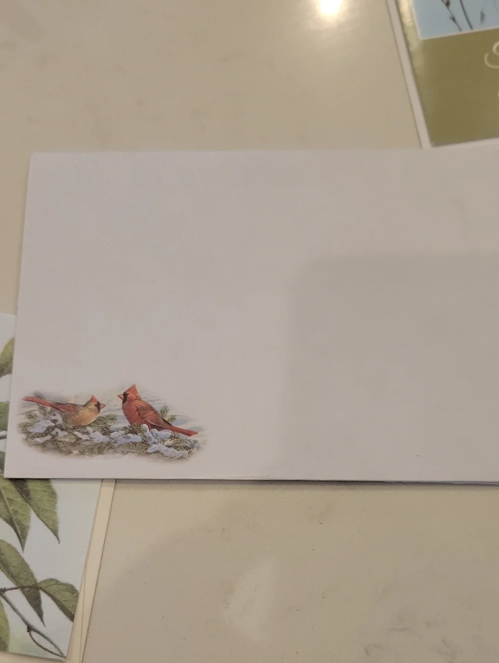 New! Assorted Bird Card Bundle